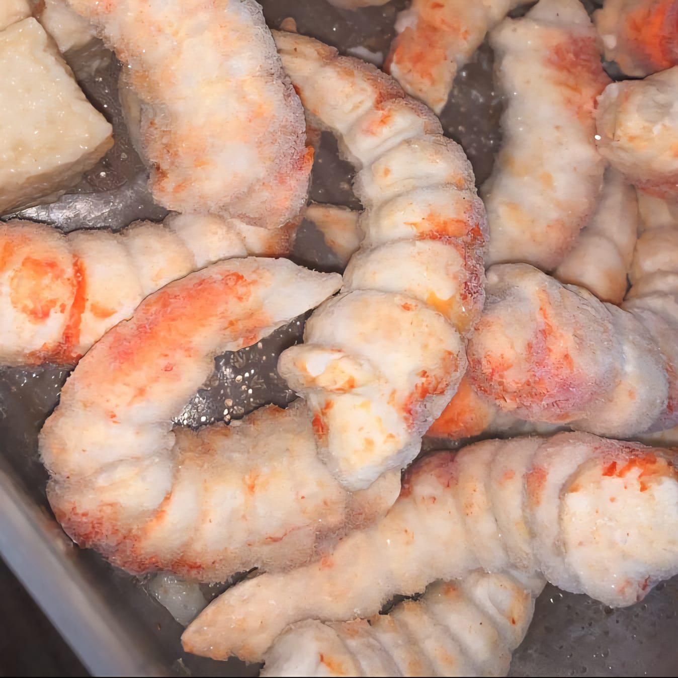 udang
